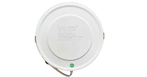 K.ray Lighting Down Light 30W COB With Frame