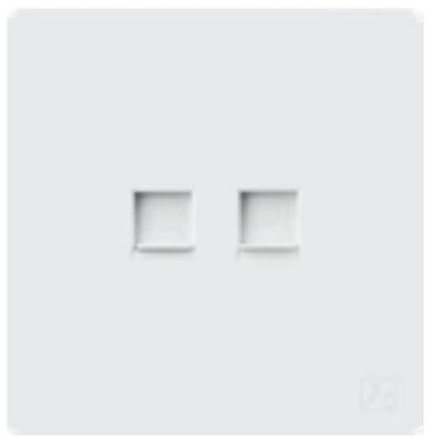 فيش تليفون + data socket CAT6