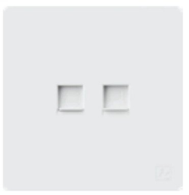 فيش انترنت مزدوج CAT6