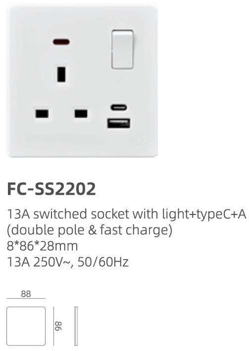 فيش مفرد + مفتاح + USB - الصورة 2
